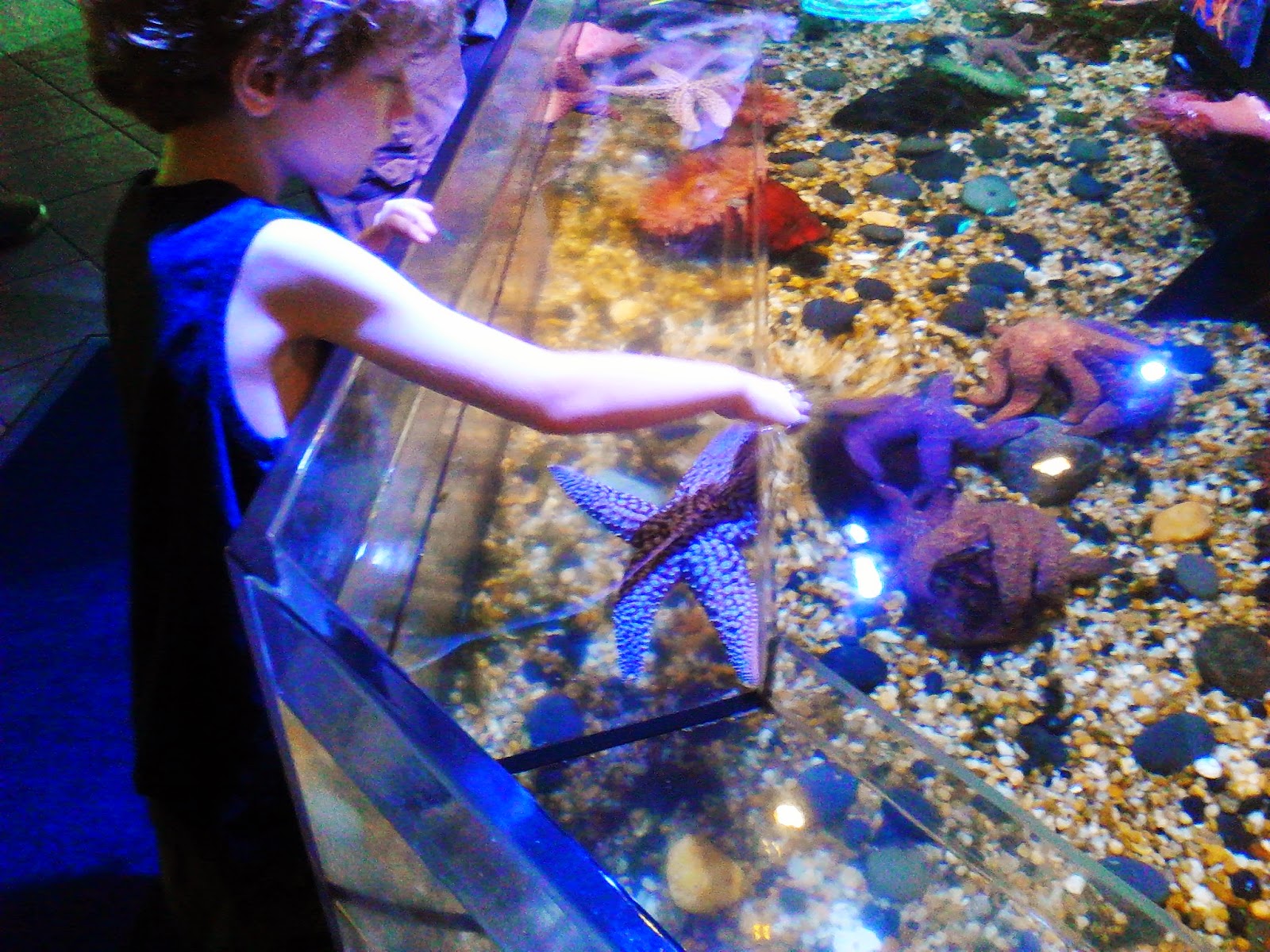 Discounts average $9 off with a The Florida Aquarium promo code or coupon. 30 The Florida Aquarium coupons now on RetailMeNot.